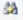 AdvancedSearch icon