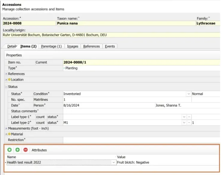 New Version 42025 Acc Custom att