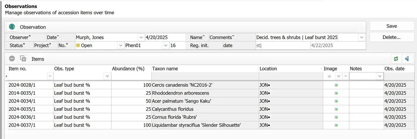 IrisBG 4.6.1.25052 screenshot