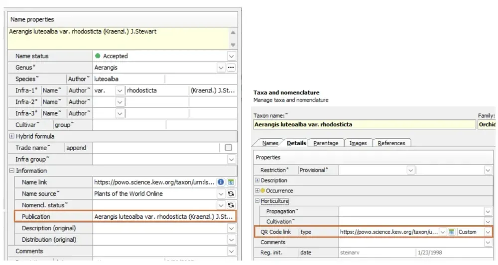 IrisBG 4.6.2.25081 screenshot