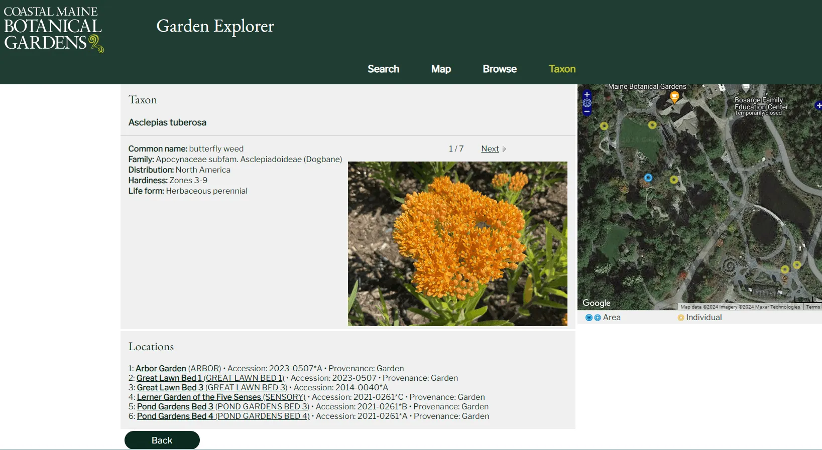 Asclepias_CMBG.png