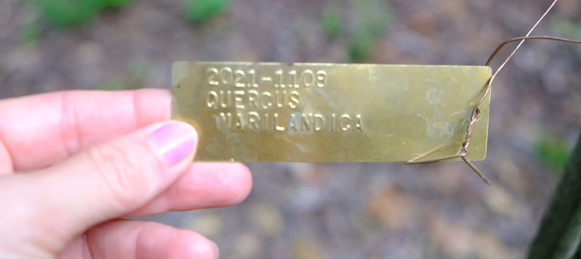 DSCF3456.JPG
