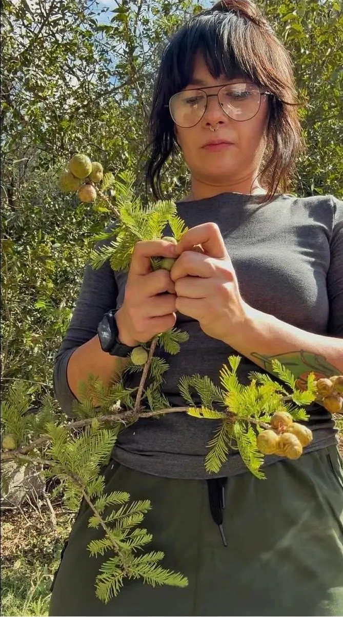 Cory Foshee of San Antonio Botanical Garden