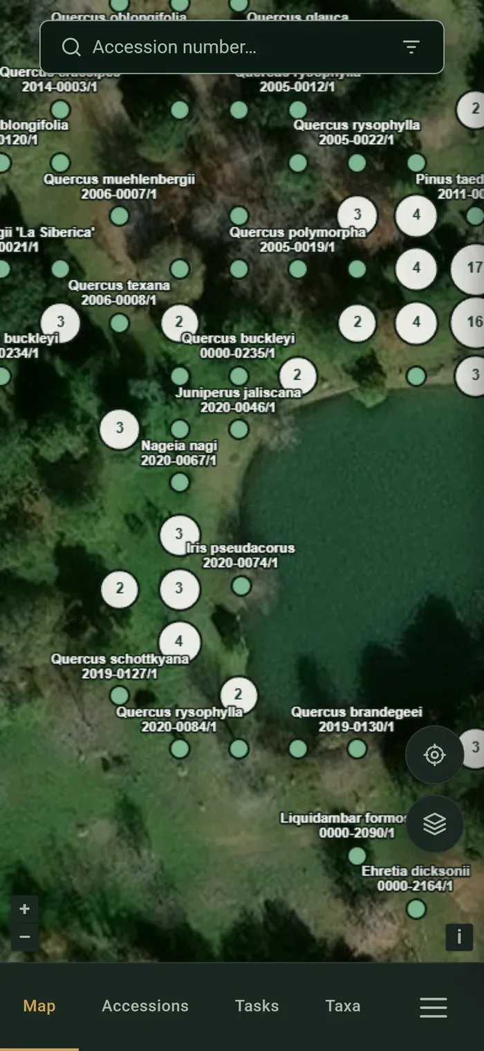 IrisBG Lite map on a phone: satellite view of plants with their names and accession numbers, location and layer buttons, and the Map, Accessions, Tasks and Taxa navigation at the bottom.