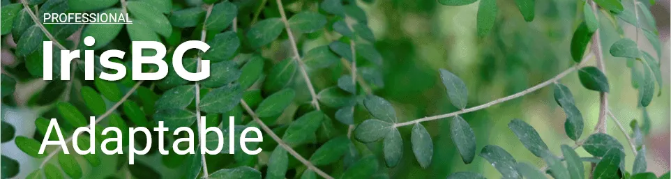 mceclip7.png