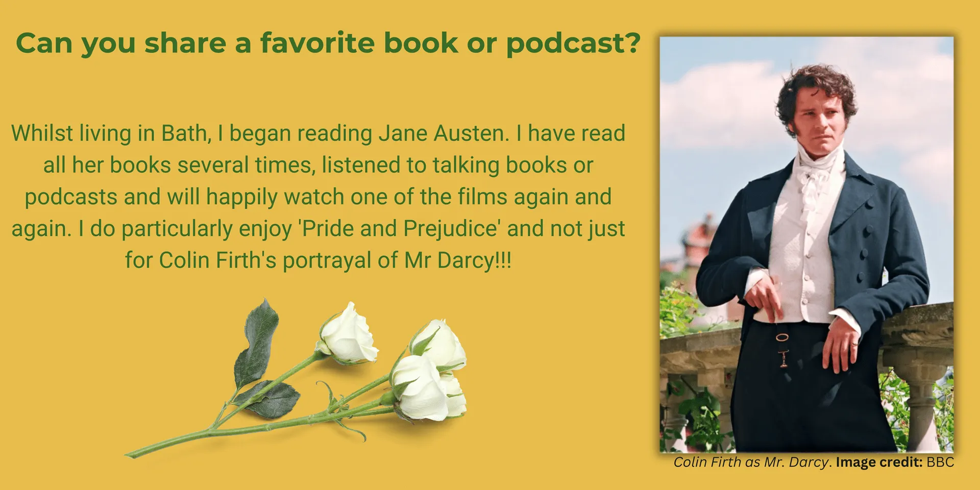 Mr. Darcy (1).png