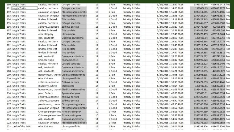ThirdPartyContractor_Spreadsheet.jpg