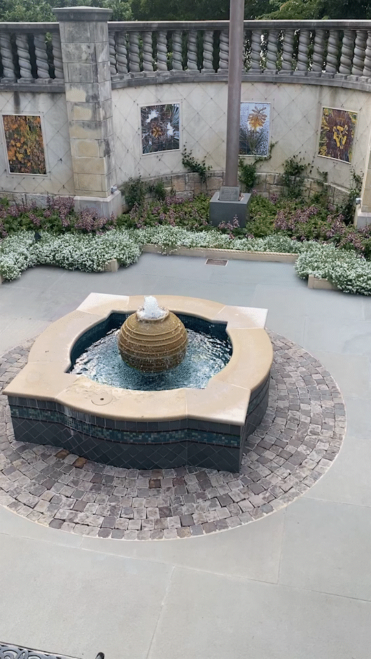 IMG_8547_MOV_AdobeExpress.gif